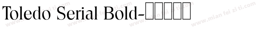 Toledo Serial Bold字体转换
